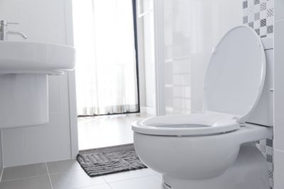 Modern Toilet Styles